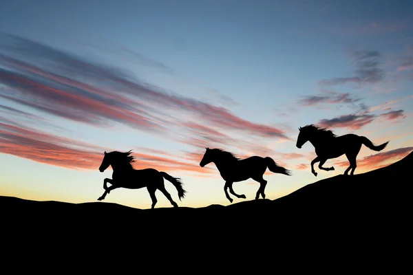 Galoppierende Wildpferde. Pferdesilhouette gegen den Himmel. — Stockfoto