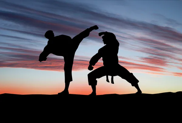 Los jugadores luchan contra el cielo. Karate. . —  Fotos de Stock