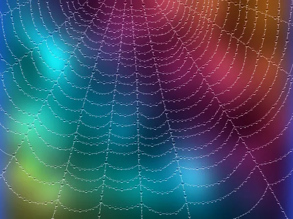 Mevsimlik arka plan damla ile örümcek ağı.