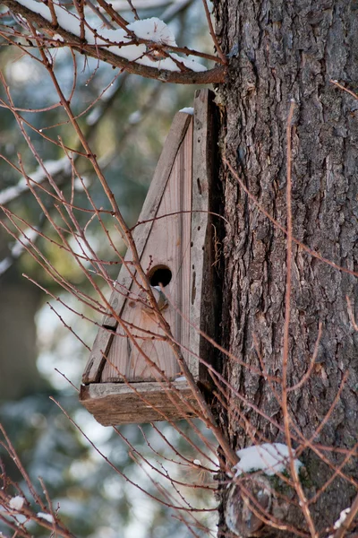 Пташиний будинок. Розведення будки на дереві — стокове фото