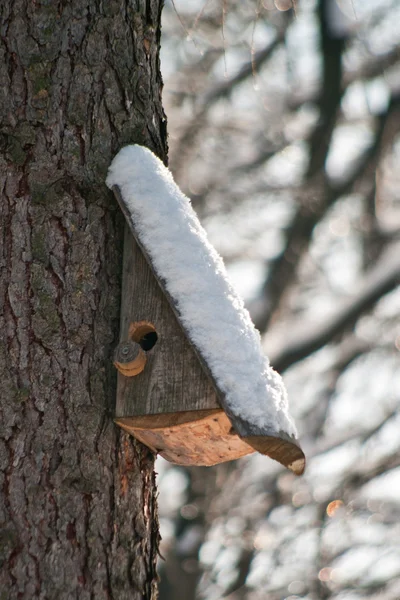 Σπίτι πουλιών. περίπτερο αναπαραγωγής σε δέντρο — Φωτογραφία Αρχείου