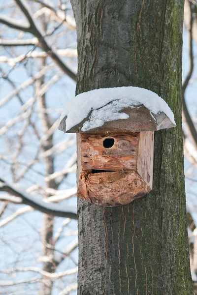 Fågel hus. monter avel på träd — Stockfoto
