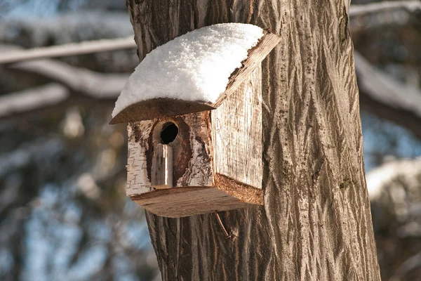 Bird house. Booth breeding on tree — Stock Photo, Image