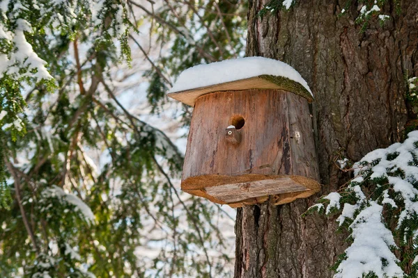 Птичий домик. Размножение стендов на дереве — стоковое фото