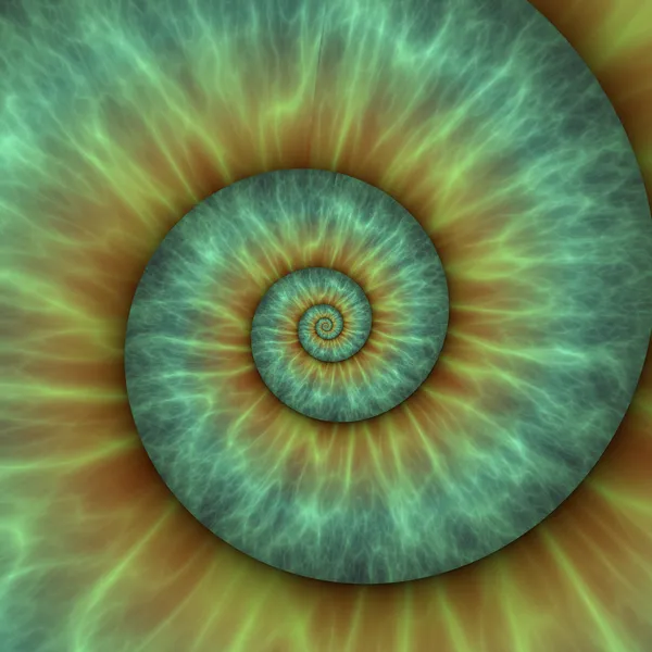 Abstract spiral pattern. fibonacci pattern — Stock Photo, Image