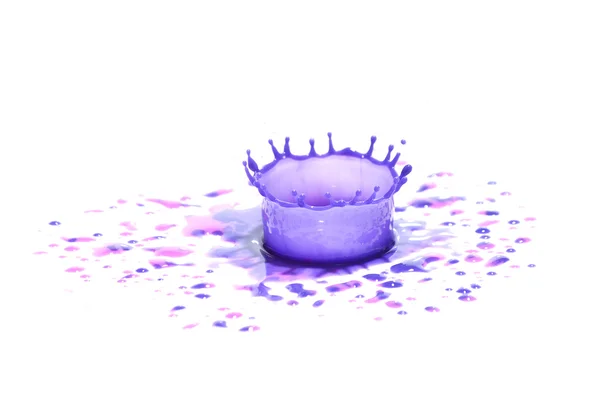 Purple paint splashing on white. — Stock Photo, Image