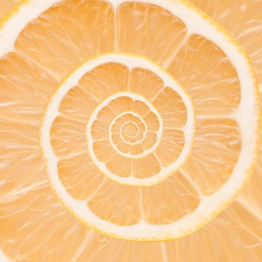 portakal, limon Infinity sarmal arka plan. Fibonacci.