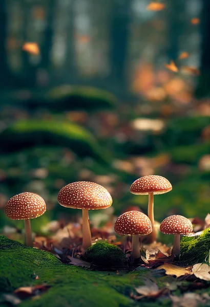 Close Group Toadstools Forest Undergrowth Sunrise — Stock Photo, Image