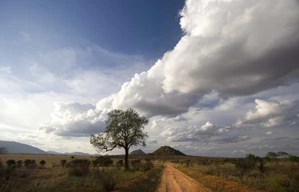 Kırmızı dirt track tsavo Doğu, kenya — Stok fotoğraf