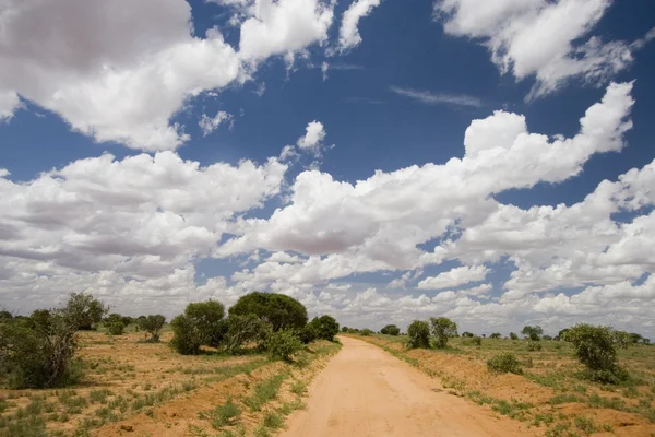 Kırmızı toprak dirt track, tsavo Milli Parkı, kenya. — Stok fotoğraf