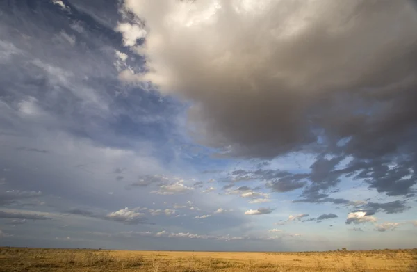 Middag zon & spectaculaire wolken boven de vlaktes van tsavo east, Kenia. — Stockfoto