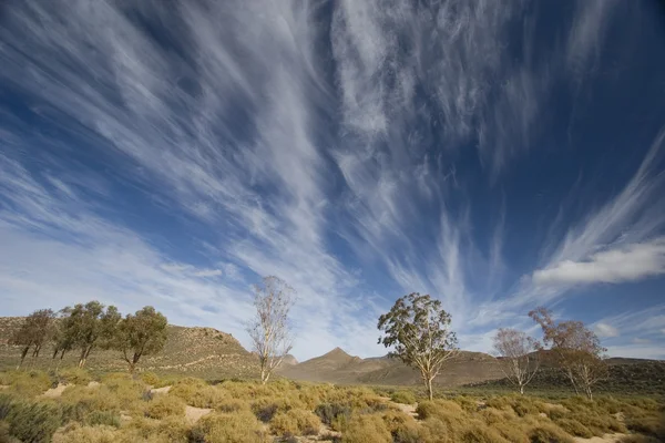 Paesaggio sudafricano con nuvole sorprendenti . — Foto Stock