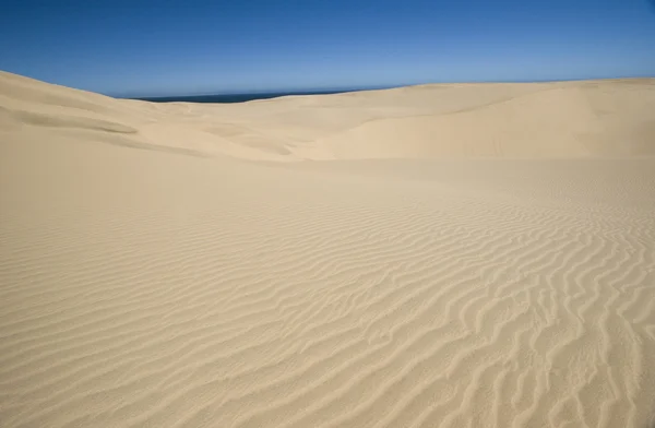 Duny pouště Namib — Stock fotografie