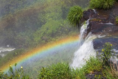 gökkuşağının üstünden Iguazu falls, Arjantin, Güney Amerika