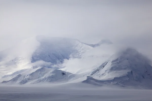 Tempestade de neve cobre o arquipélago de Anvers, Antártida — Fotografia de Stock