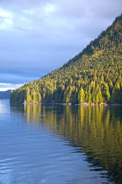 Las, odzwierciedlając do kanału, queen charlotte cieśniny, british columbia, Kanada — Zdjęcie stockowe