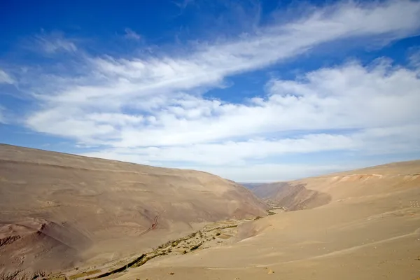 Valle lussureggiante nel deserto di Atacama, Cile — Foto Stock