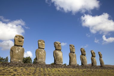 Deniz, rapa nui, Paskalya Adası, Şili yüzleşmeye tek moai olan yedi ahu akivi moai görüntüleme.