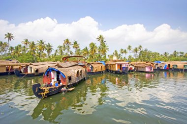 geleneksel ev botları, birlikte alleppey, kerala, Hindistan önemsizden kıyısında demirleyen.