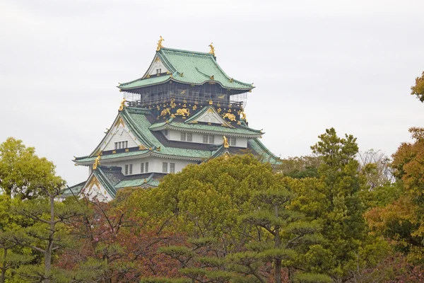 Huvudsakligt står hög av osaka castle, osaka, japan. — Stockfoto