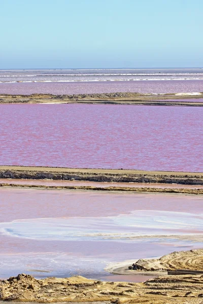 Walvis Bay Saltängen, Namibia. — Stockfoto