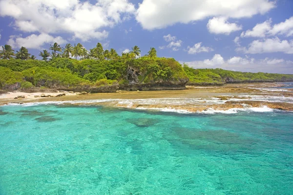 Línea costera de Alofi, Niue, Pacífico Sur . — Foto de Stock