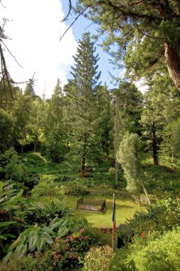 Napolyon'un mezar st helena Adası.