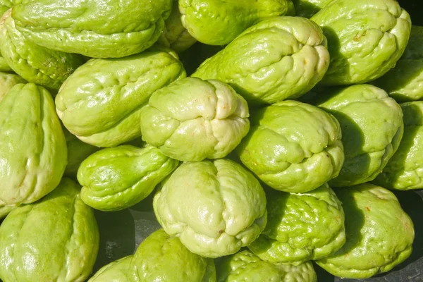 Porto verde de frutos de Chayote . — Fotografia de Stock