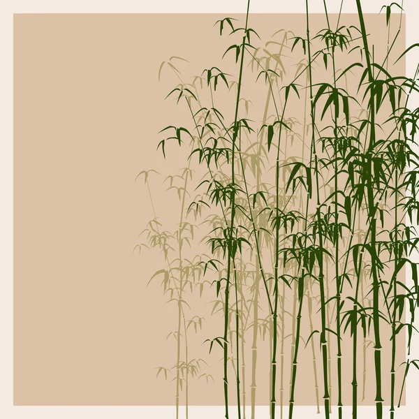 Illustrazione vettoriale di bambù . — Vettoriale Stock