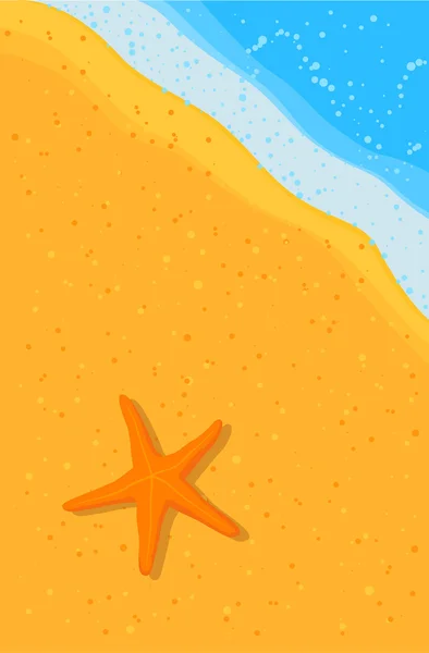 Estrella de mar en la playa. — Vector de stock