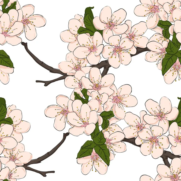 Seamless floral pattern with cherry flowers. Vector — Stock Vector