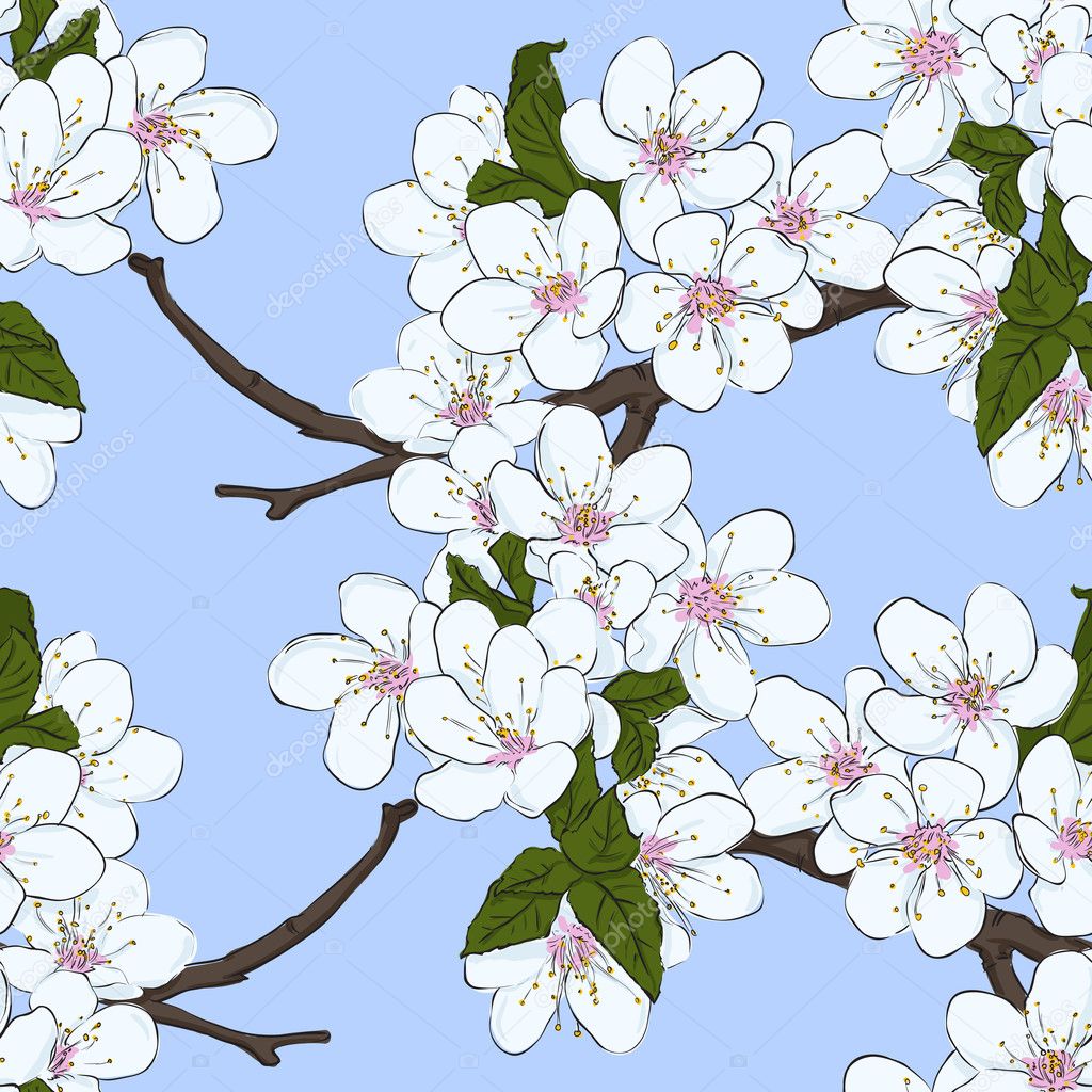 Seamless floral pattern with cherry flowers. Vector