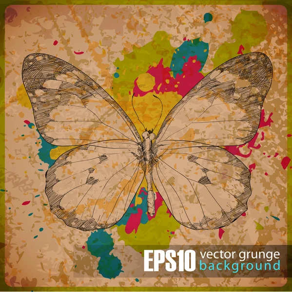 Fondo vintage EPS10 con mariposa — Vector de stock