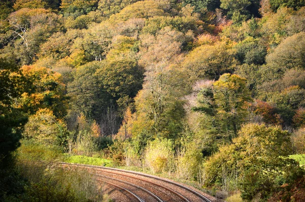demiryolu parça yukarıda sonbahar ağaçlar
