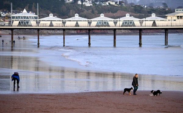 Paignton iskele, devon, İngiltere