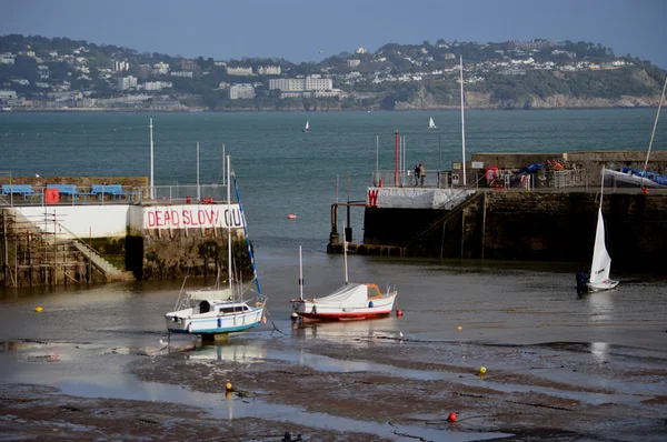 Boten in haven van paignton — Stockfoto