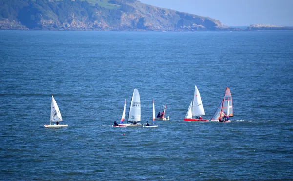 Segelregatta Stockbild