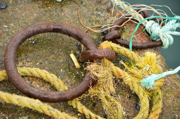 Harbourside ring with ropes — Stock Photo, Image