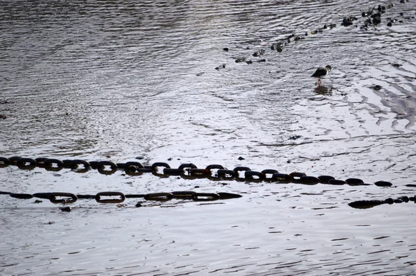 Chains silhouetted in harbour mud — Stock Photo, Image