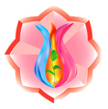 üç katlı yangın ve mikrop