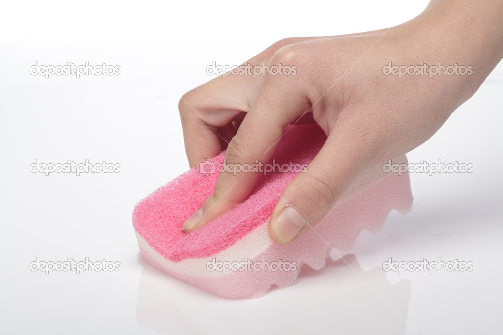 Sponge on a white background