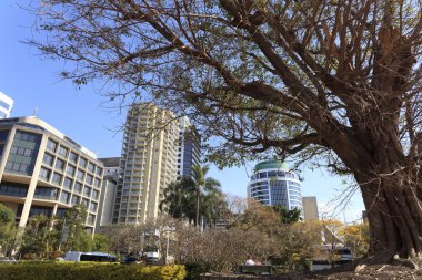 Brisbane'nın modern kentsel mimari