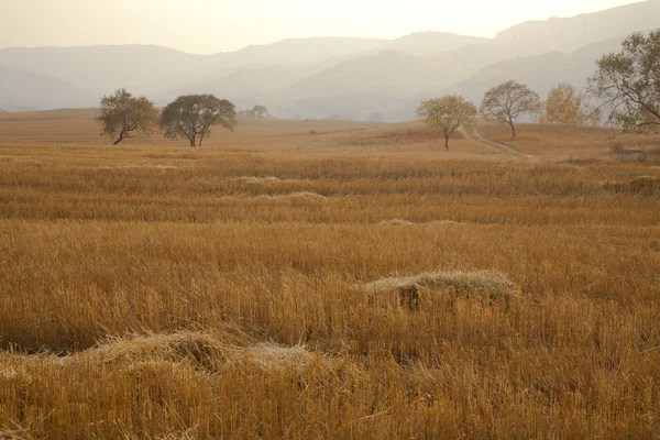 After harvest, the fall of farmland — Stock Photo, Image