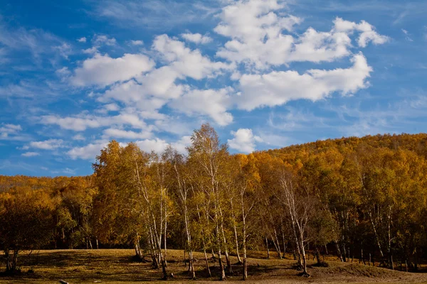 Prairie autumn scenery — Stock Photo, Image