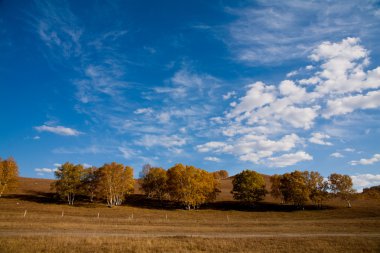 Prairie sonbahar sahne