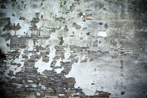 Mottled old wall — Stock Photo, Image