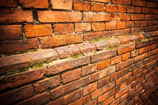 The red brick wall — Stock Photo, Image