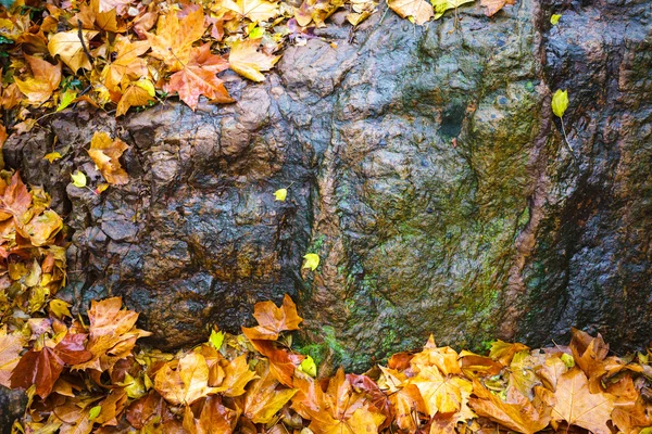 Akçaağaç kayalar — Stok fotoğraf