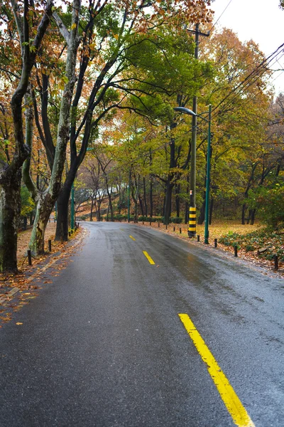 Déšť asfaltové silnici — Stock fotografie