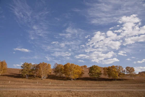 Autumn grassland — Stock Photo, Image